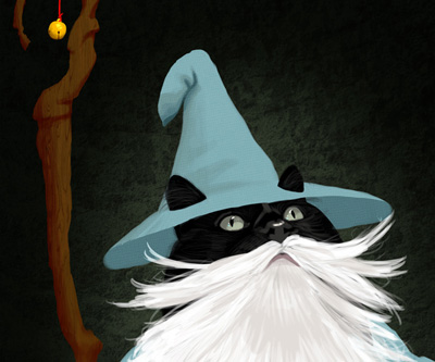 Gandalf the Black Cat